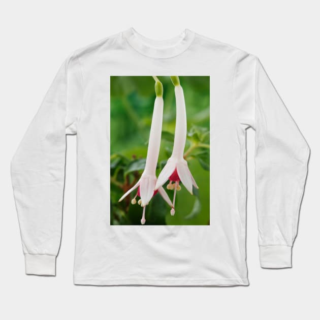 Fuchsia  'Roger de Cooker'  Triphylla Long Sleeve T-Shirt by chrisburrows